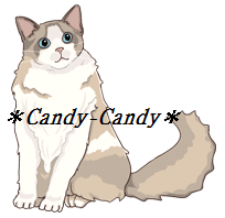 ＊Candy-Candy＊