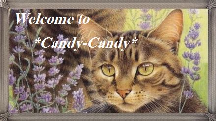 ようこそ *Candy-Candy* へ