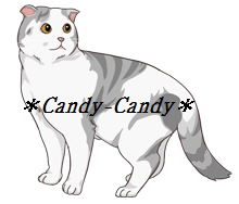 *Candy-Candy*
