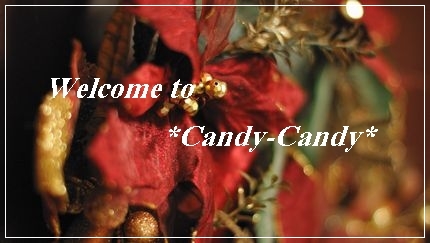 ようこそ*Candy-Candy* へ