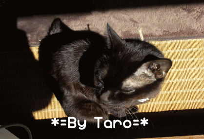 太郎1003-01