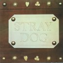 stray_dog01