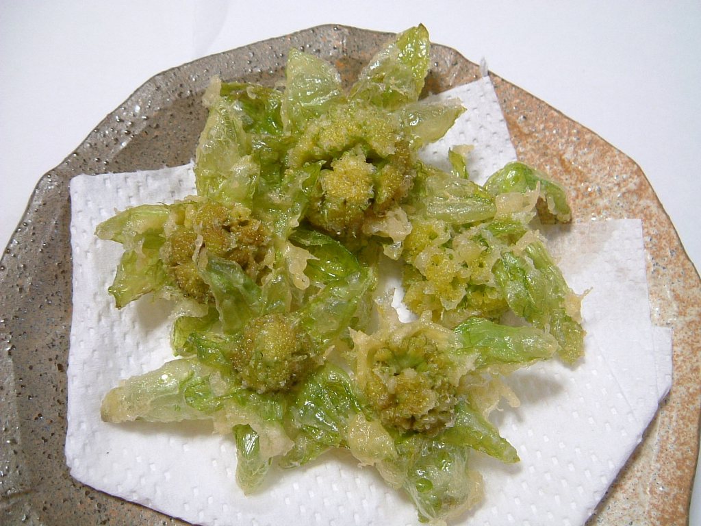 天ぷら ふきのとう の ふきのとうの食べ方は天ぷらが一番おいしい。ふきのとうの毒やレシピ、下処理を解説します