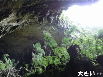 大きい洞窟！