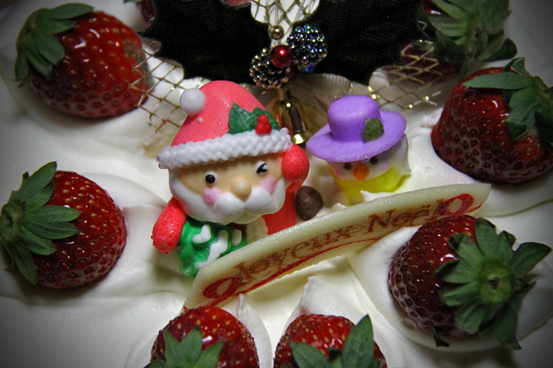 ☆Merry christmas☆