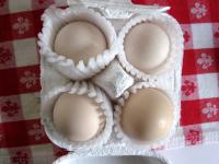 うこっけいの卵
