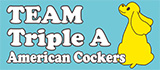 TEAM Triple A American Cockers