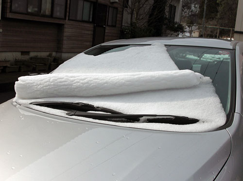 車の雪