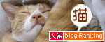 猫　人気ブログランキングへ