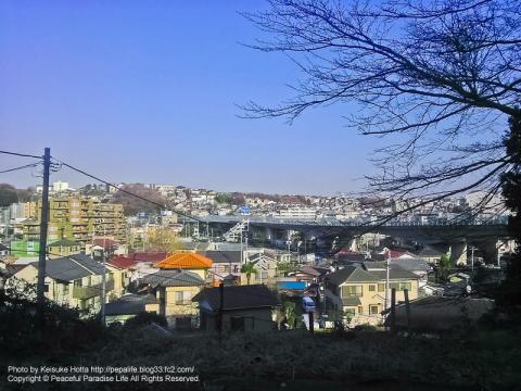 横浜市保土ヶ谷区川島町にある杉山神社からの眺め