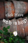 BeFiveTen web shopping