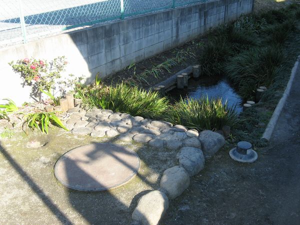 公園の入口と恋ヶ窪用水湧水口