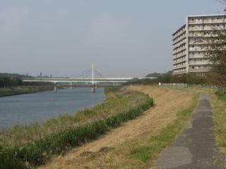 大和田排水機場を過ぎると新川サイクリングロードとなる。花見川とほぼ同じ趣き。