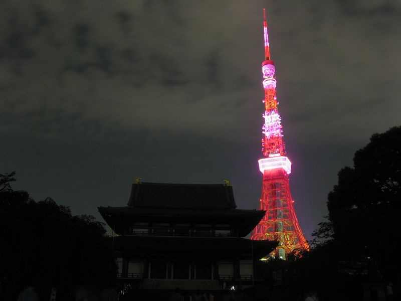ピンク色にライトアップされた東京タワーと増上寺
